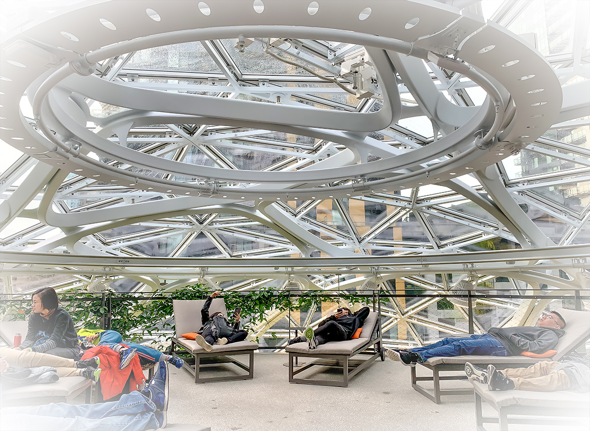 Inside Amazon's Spheres