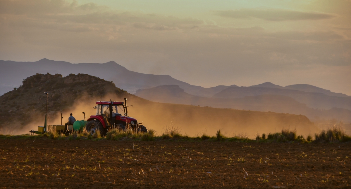 Planting season