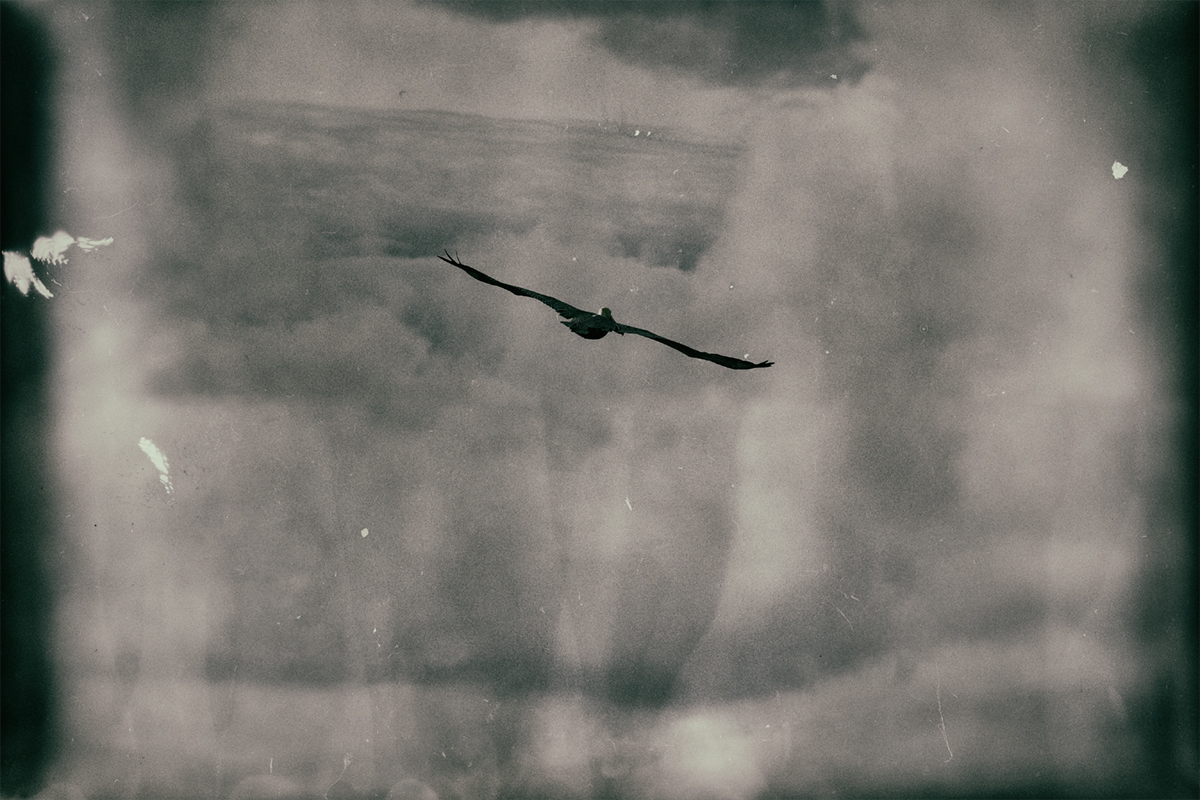 the prophecy of safe passage