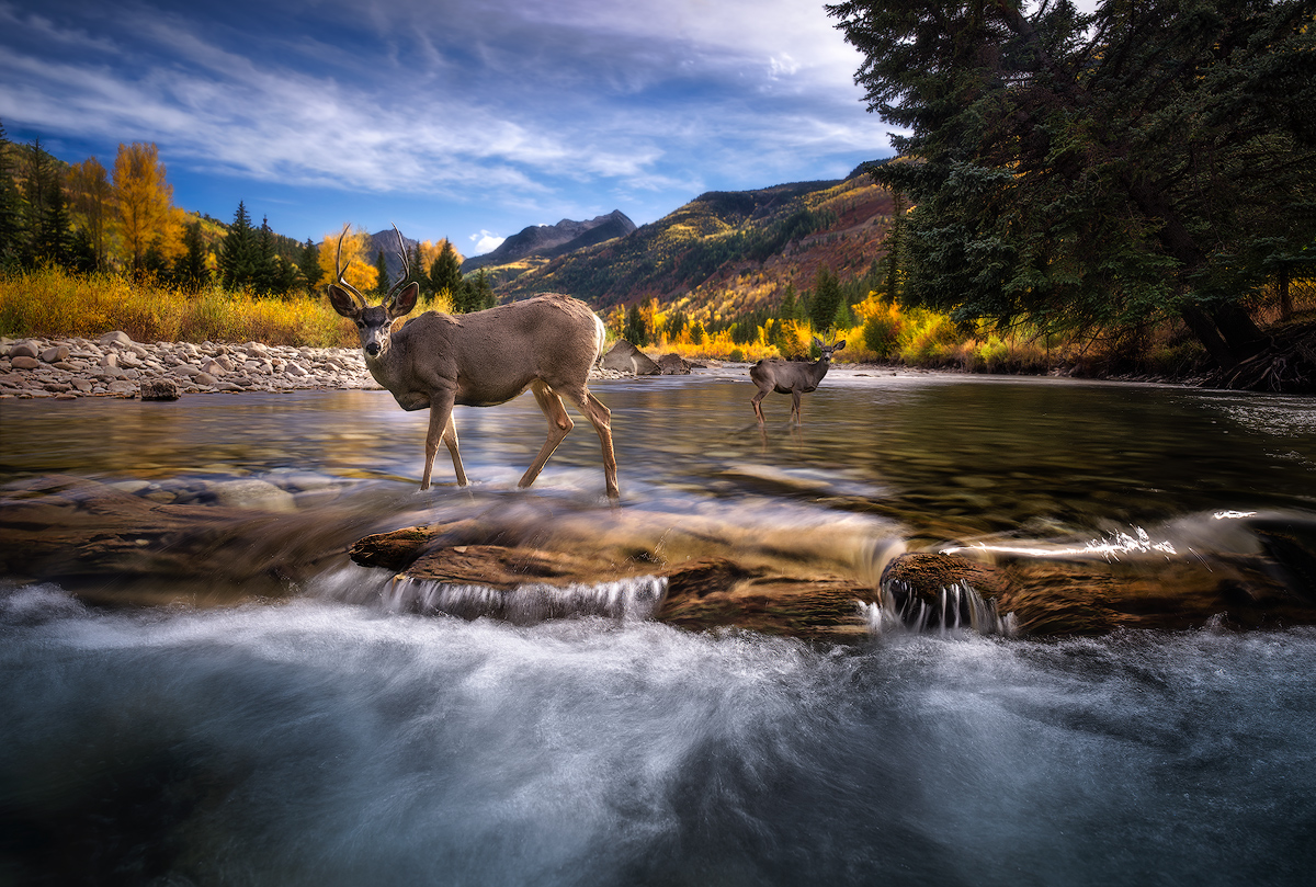 Discovery at the local watering hole