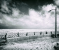 Where the wind blows cold