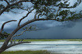 STORMY BEACH_NS