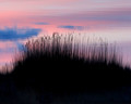 Plum Island Reflections