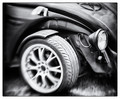 Beetle