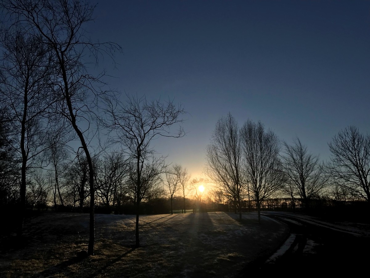 Driveway dawn