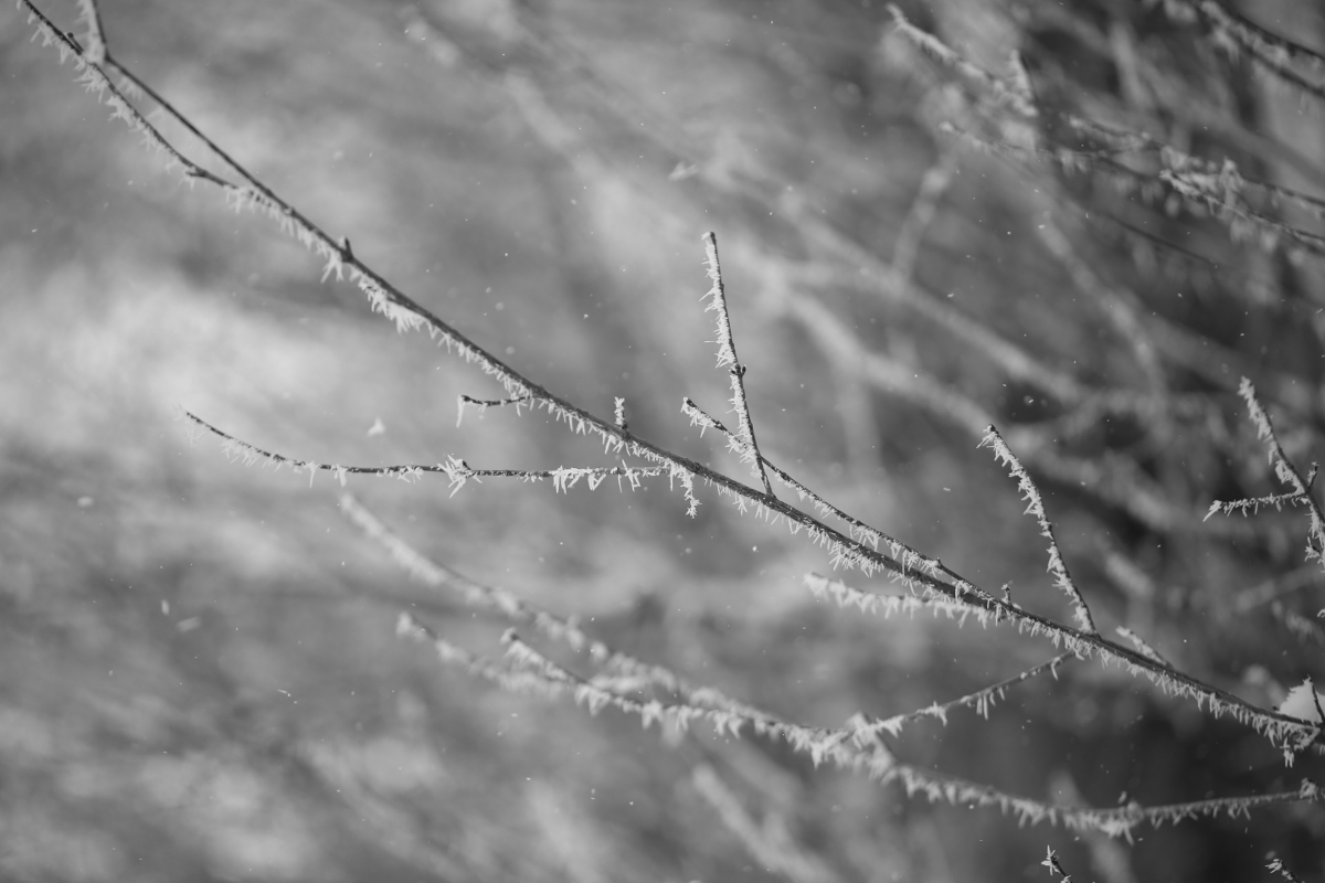 Cold