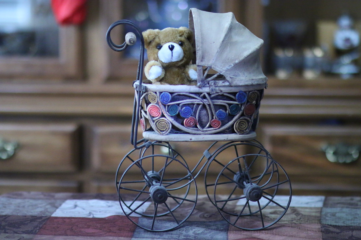 Cub in Carriage