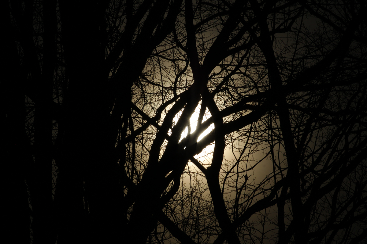 crepuscule