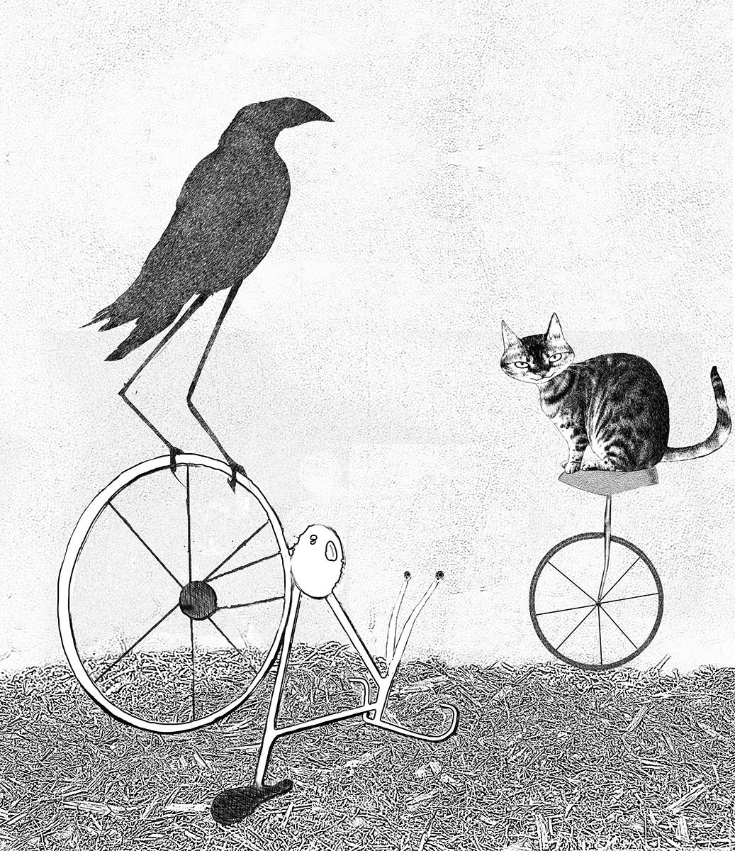 Barry happened upon a Bird on a Bicycle