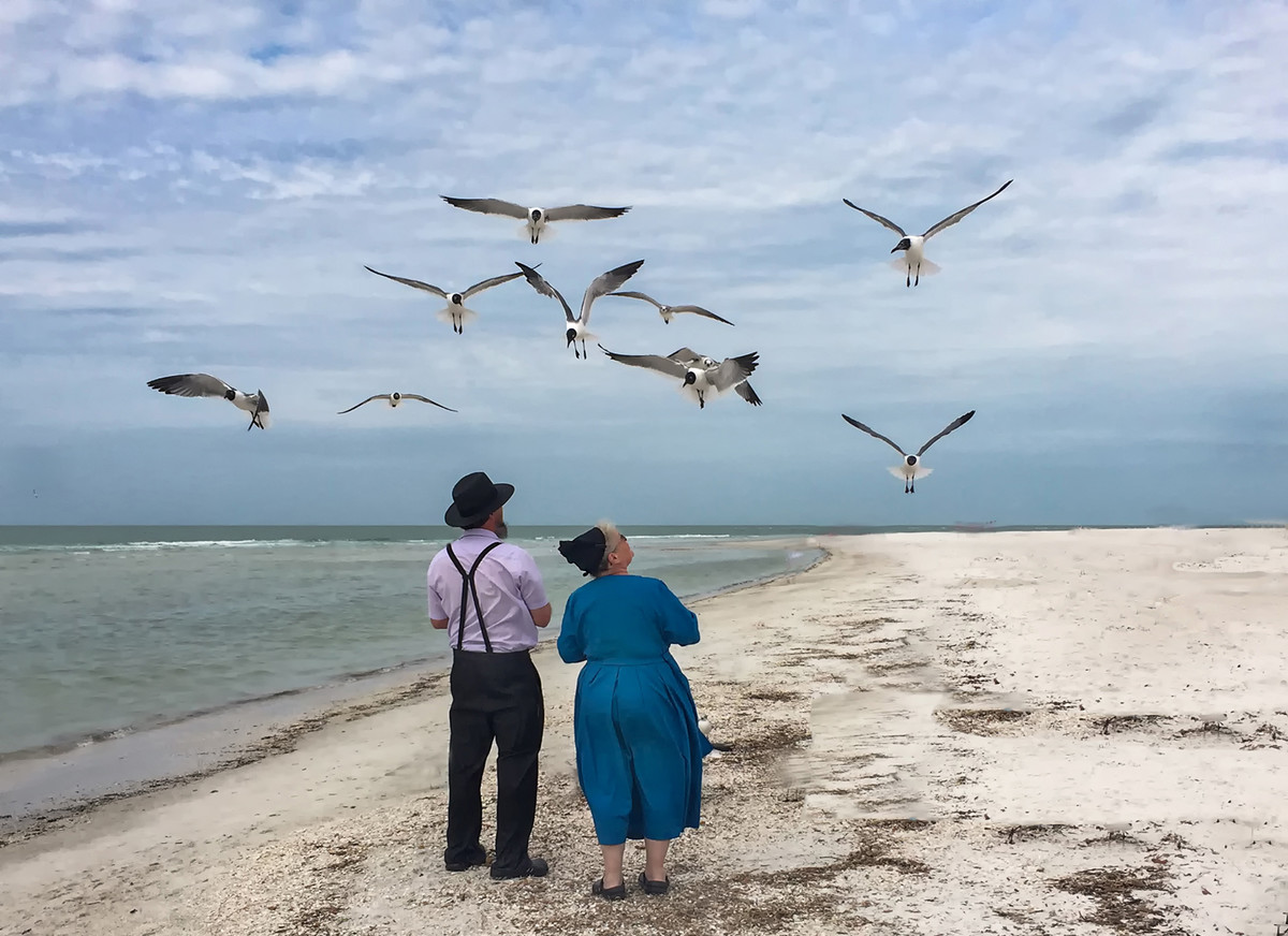 Permission to Land