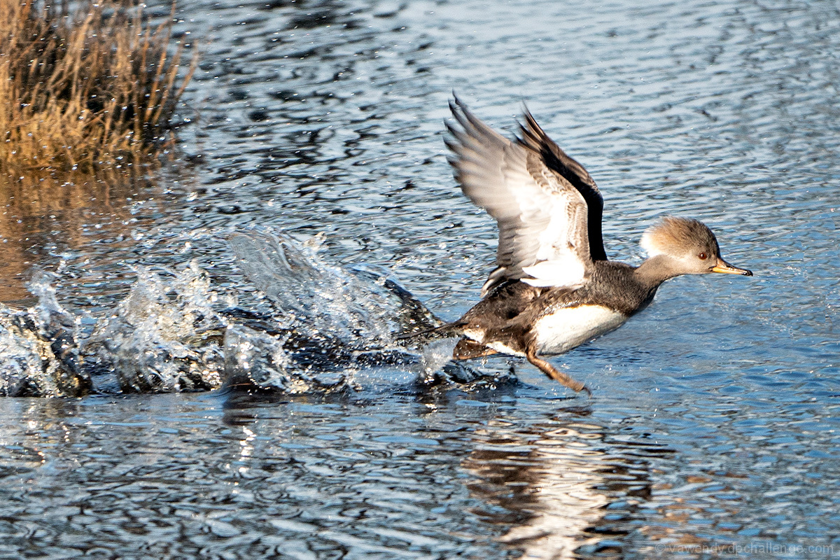 Takeoff