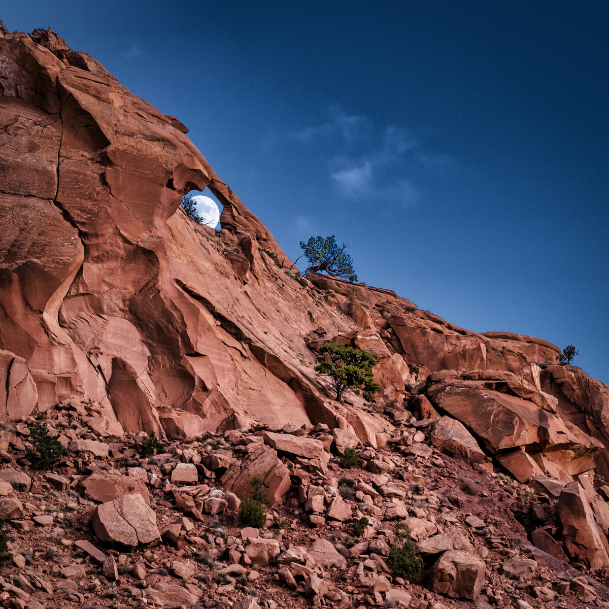 New Mexico Moon