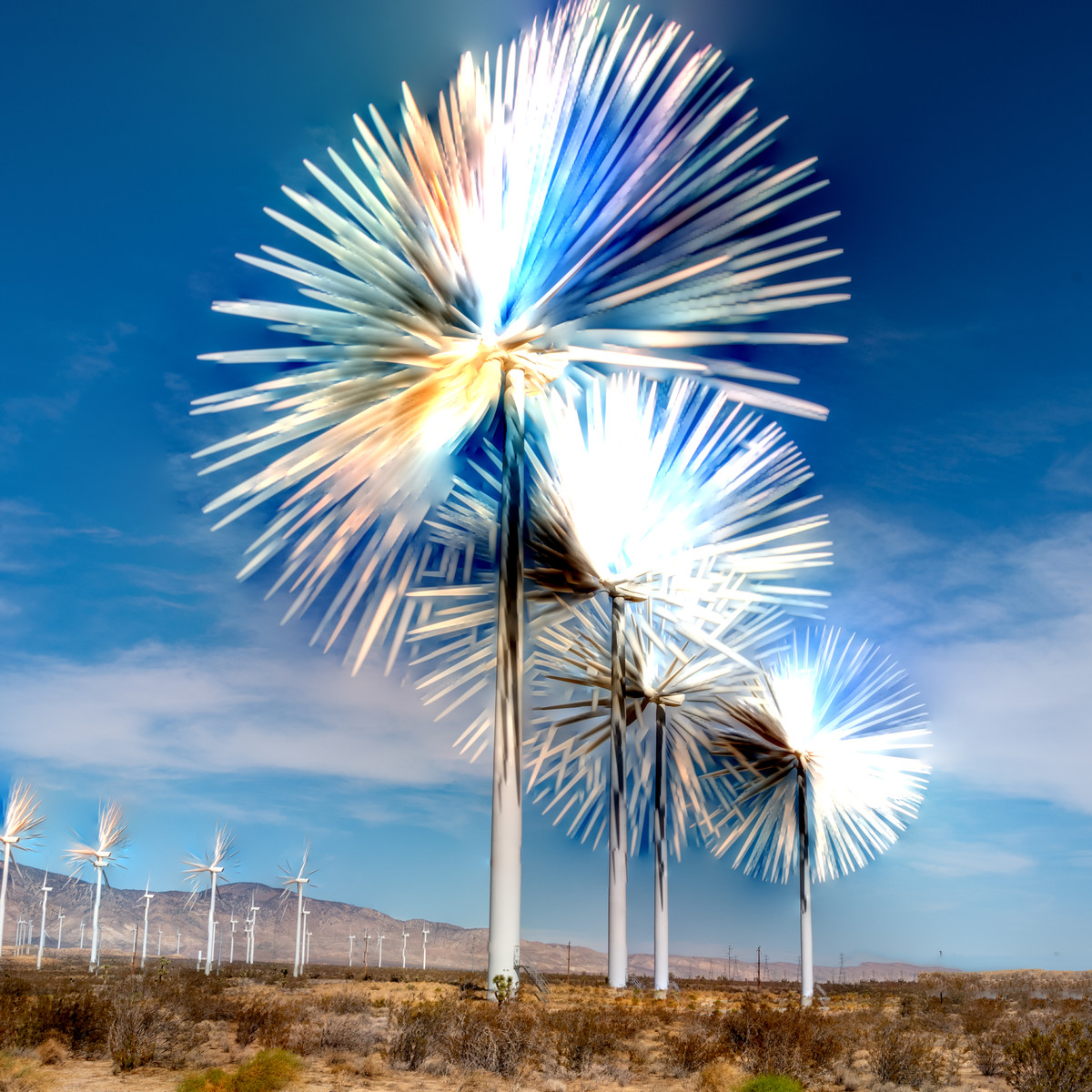 Mojave Wind