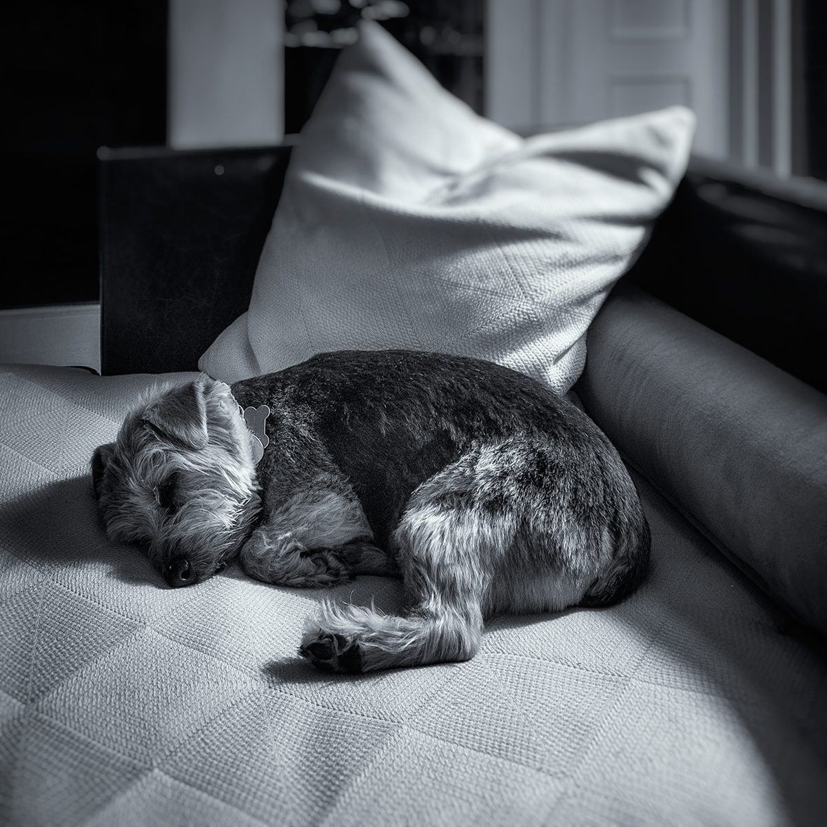 Curled up