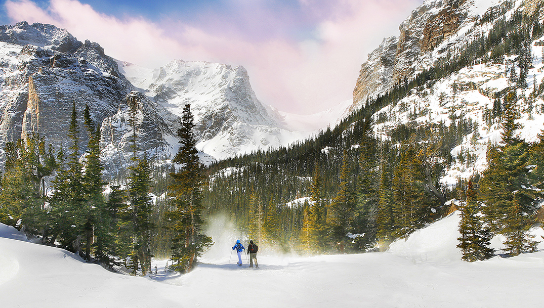 Winter Travelers