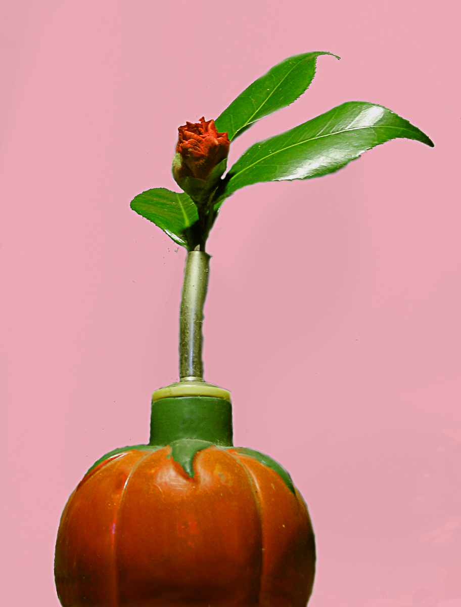 Red Bud Vase