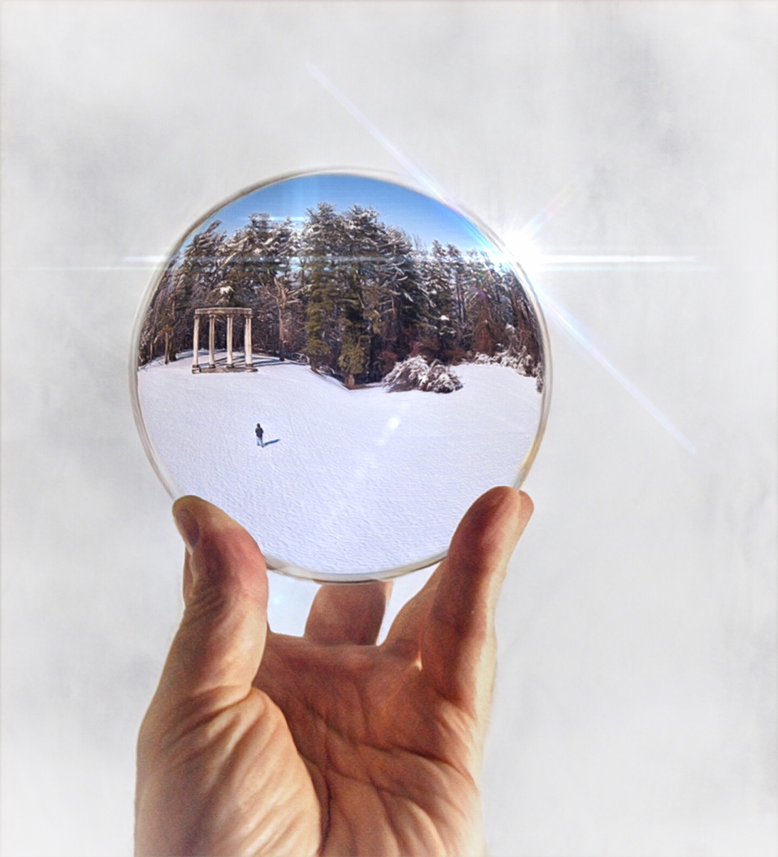 A Living Snow Globe