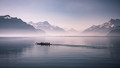 The Boat and the Swan