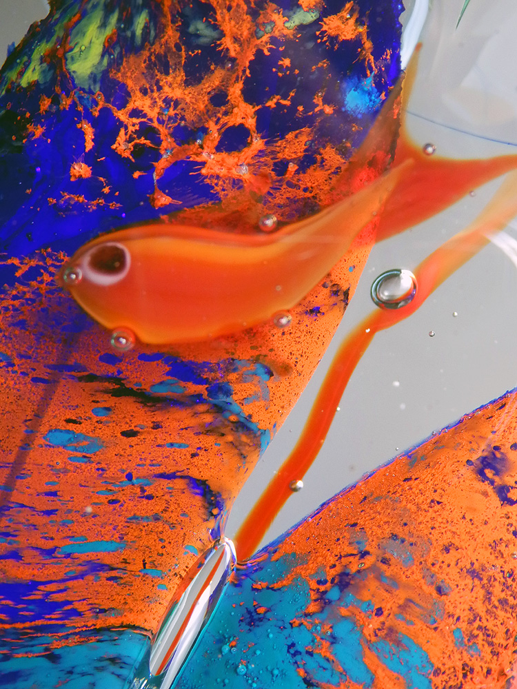Glass Fish