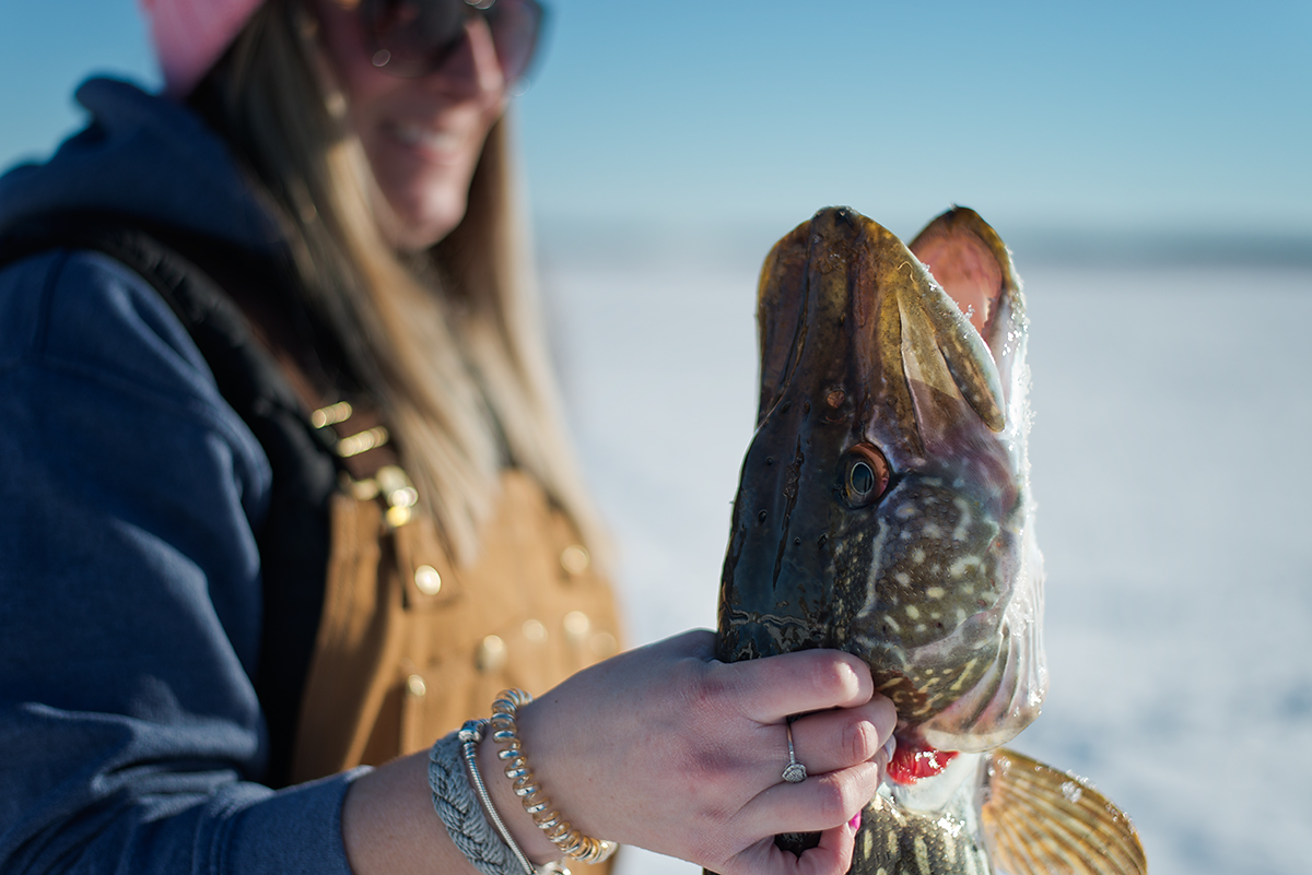 northern pike