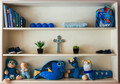 Little Boy's Shelves