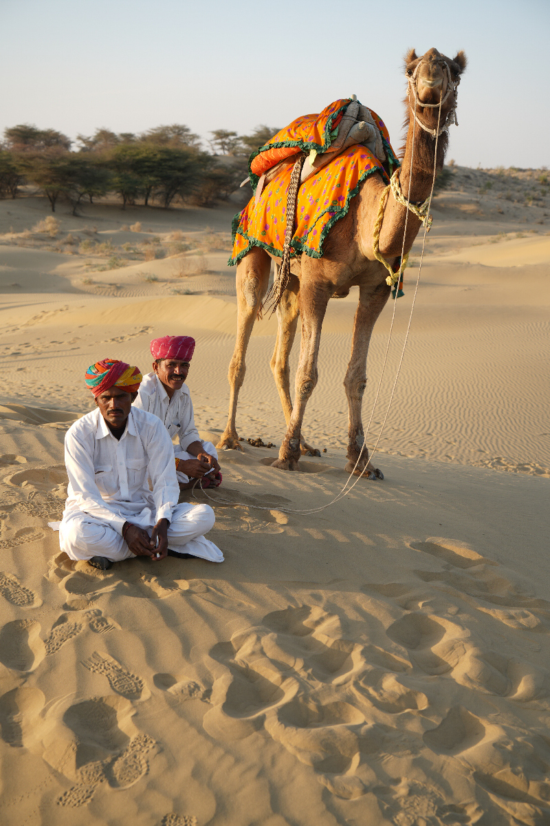 Ship of the Desert