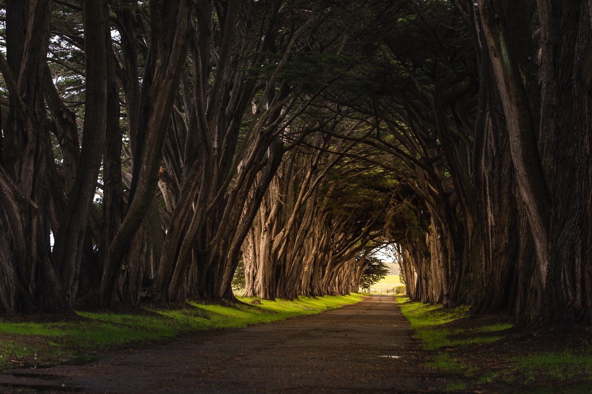 Path to Marconi