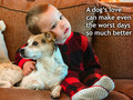 A Dog's Love