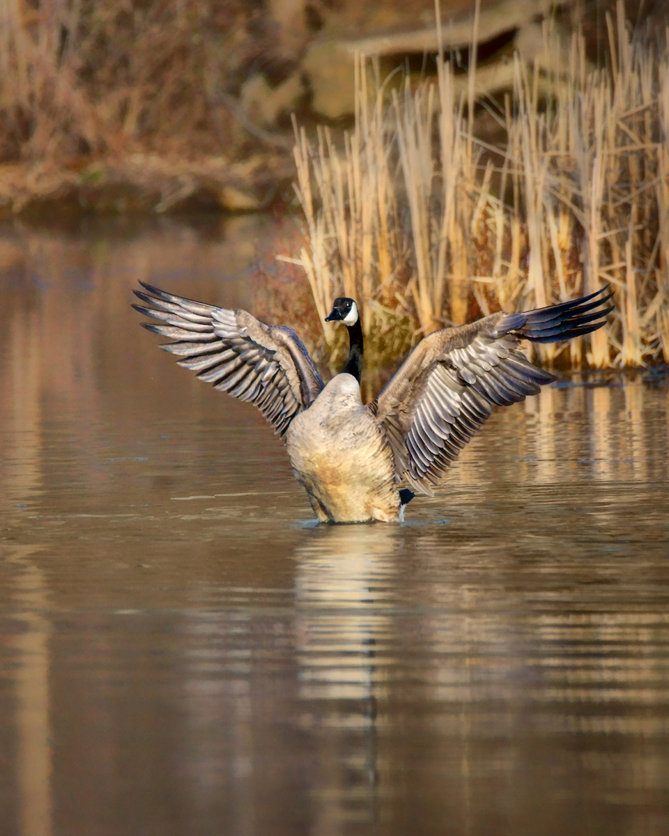 Ready for Take-off