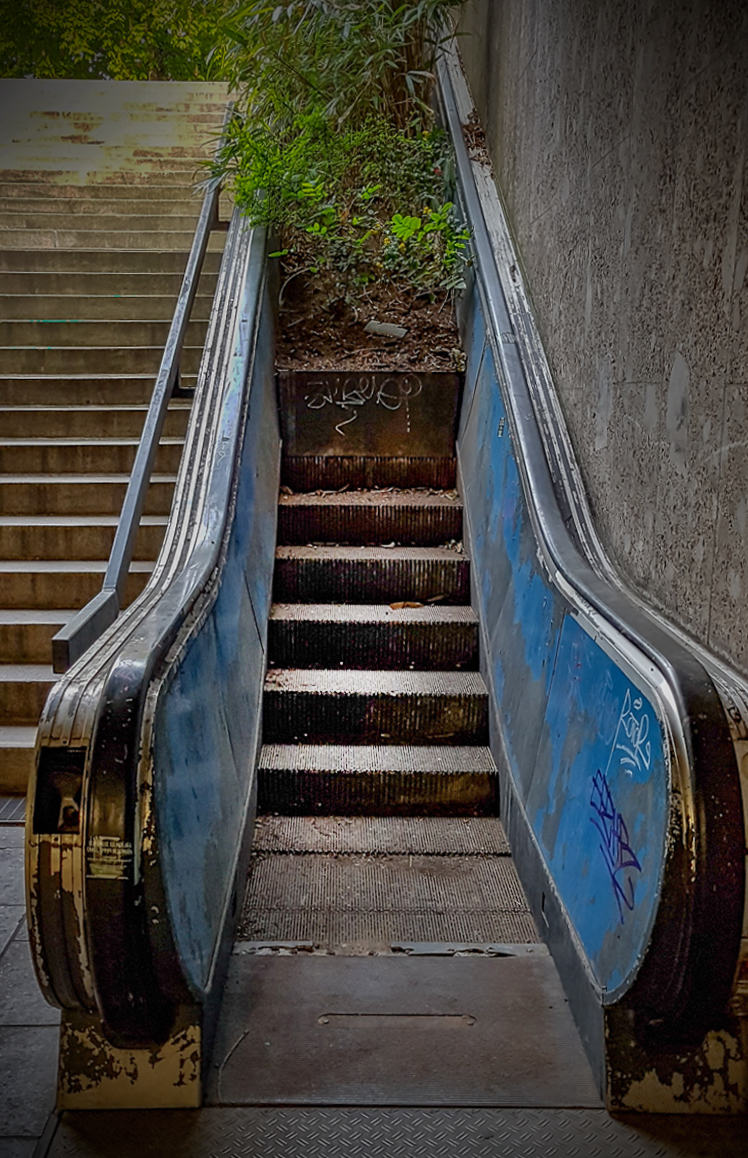 not having weeded at the escalator on time