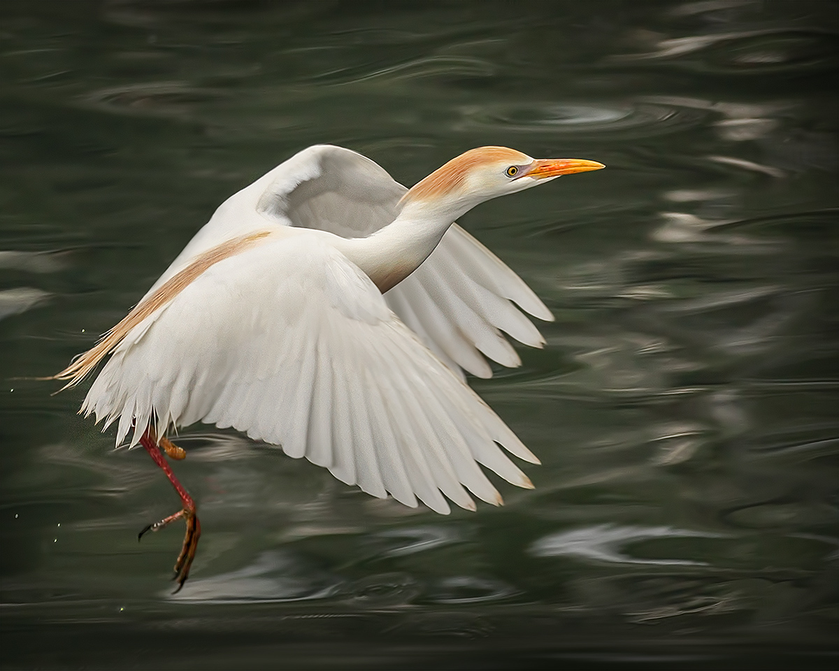 River Dance