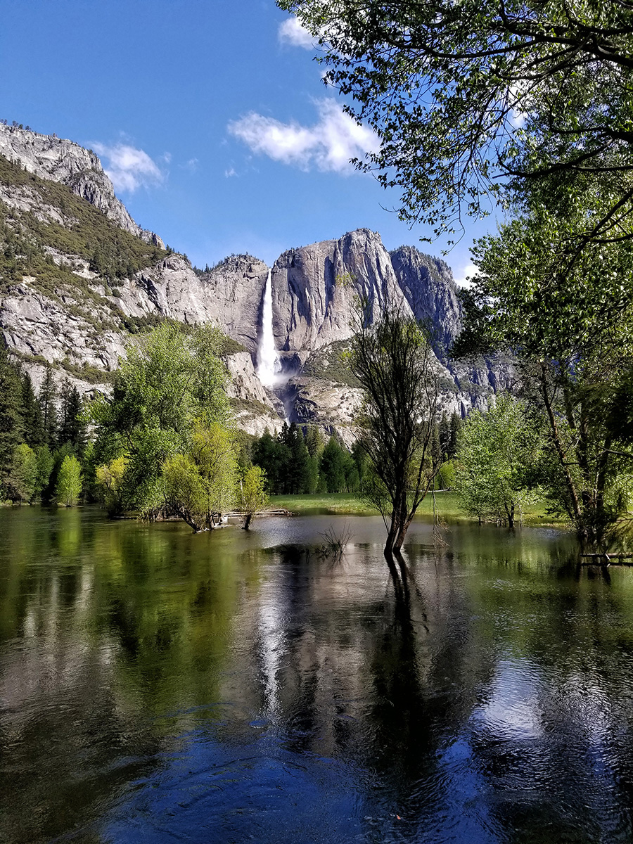 Portrait of a Landscape