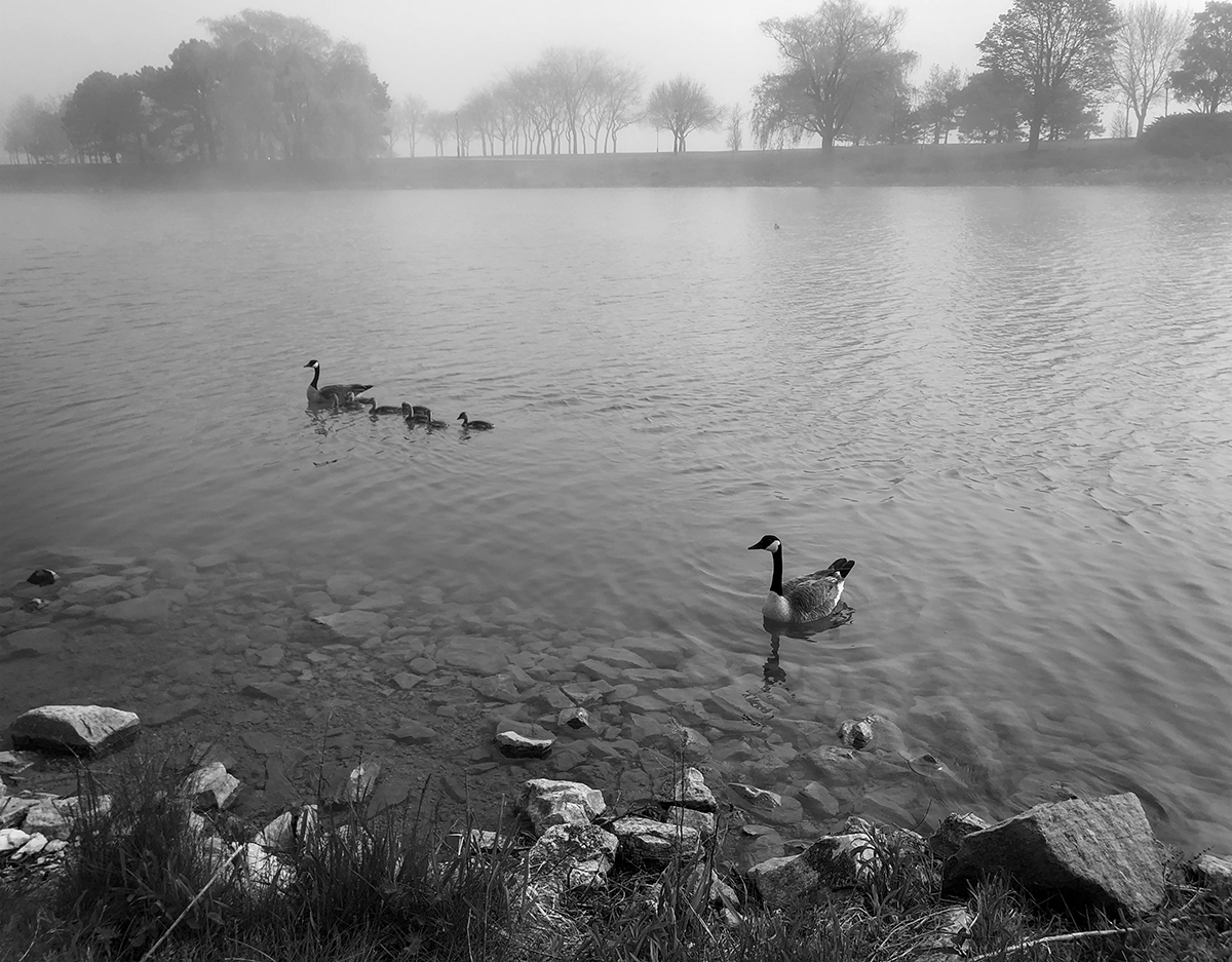 Crossing the lagoon