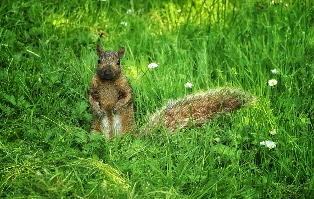 The first time ever I saw your face