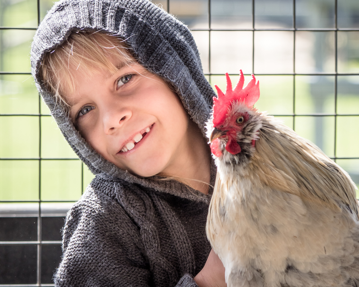 Portrait with Rooster