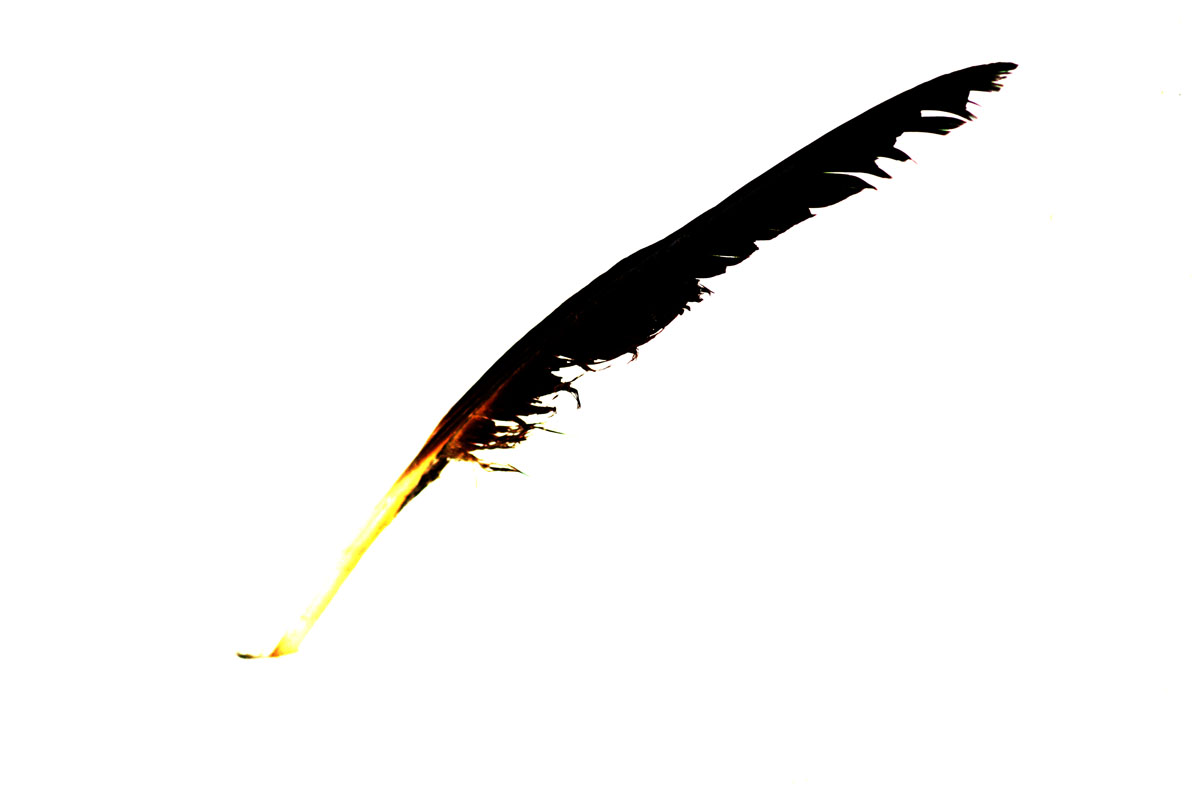 DSC00324  LIGHT as a Feather..