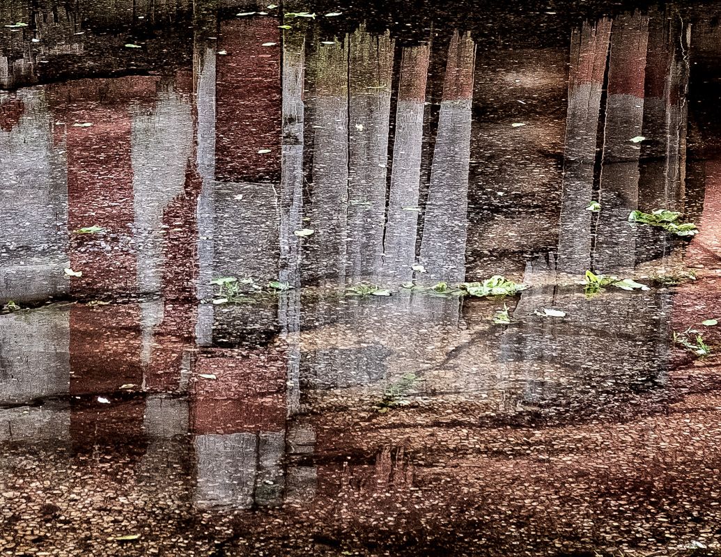 Georgia-Florida Border Wall, Okefenokee Swamp Sector