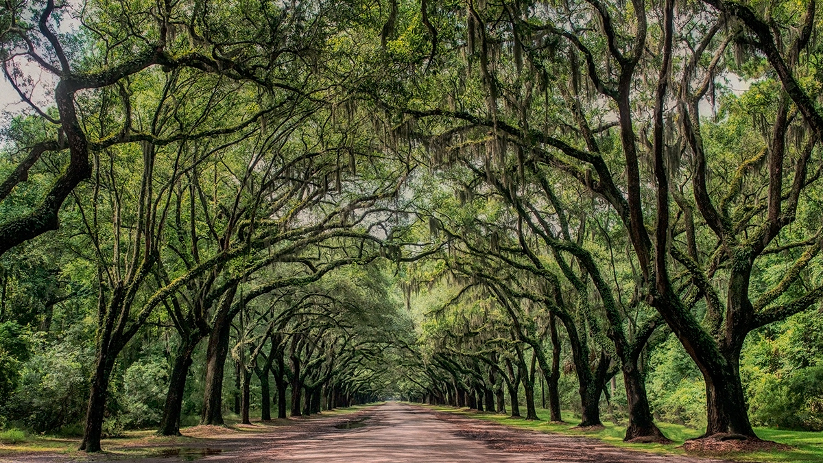 Wormsloe