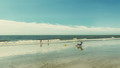 The Yellow Bucket