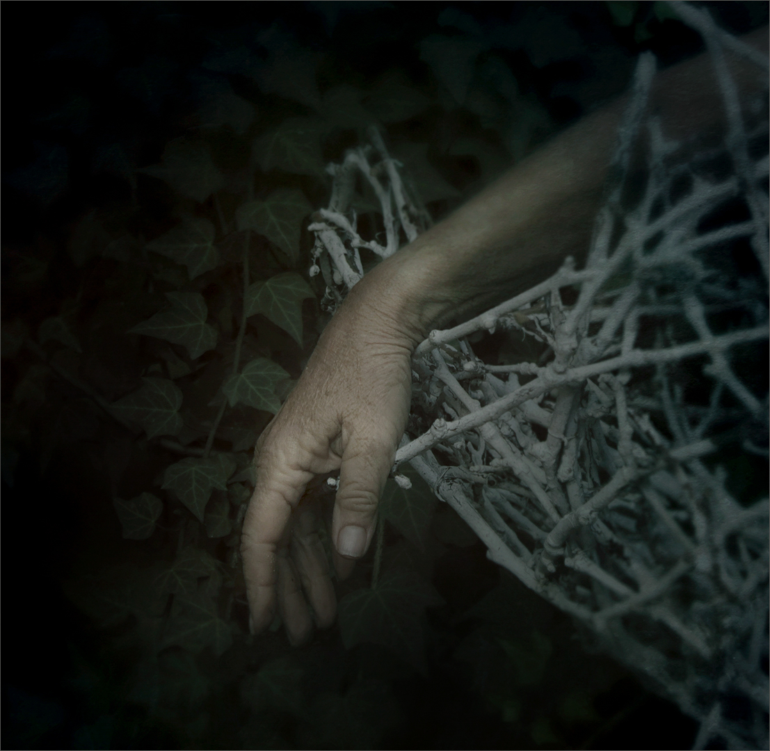 Hanging in there