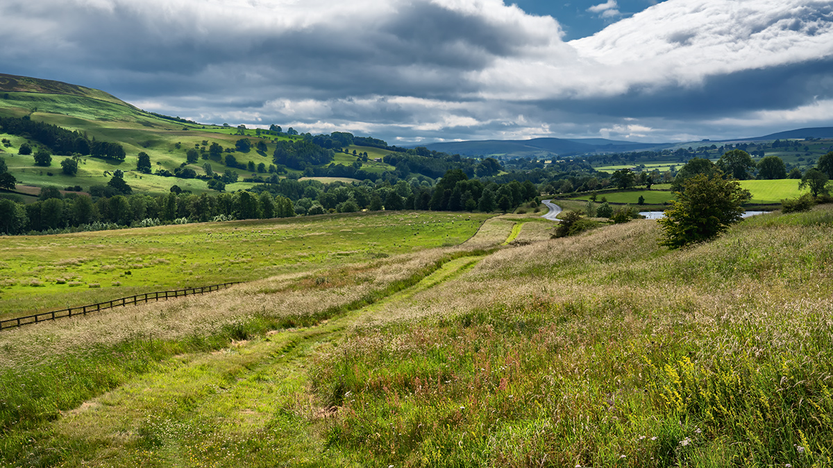 Towards Wensleydale