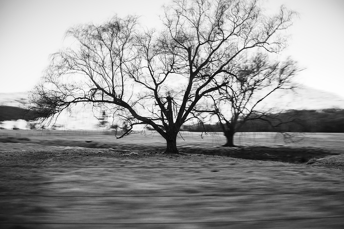 flood plain