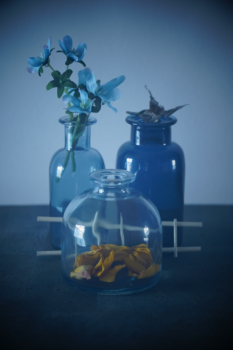 Still Life in Blue