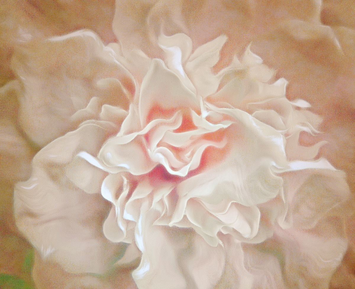 Camelia
