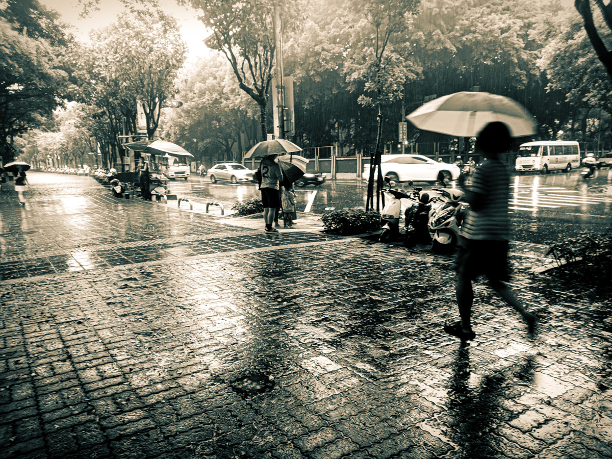 Stieglitz in my mind