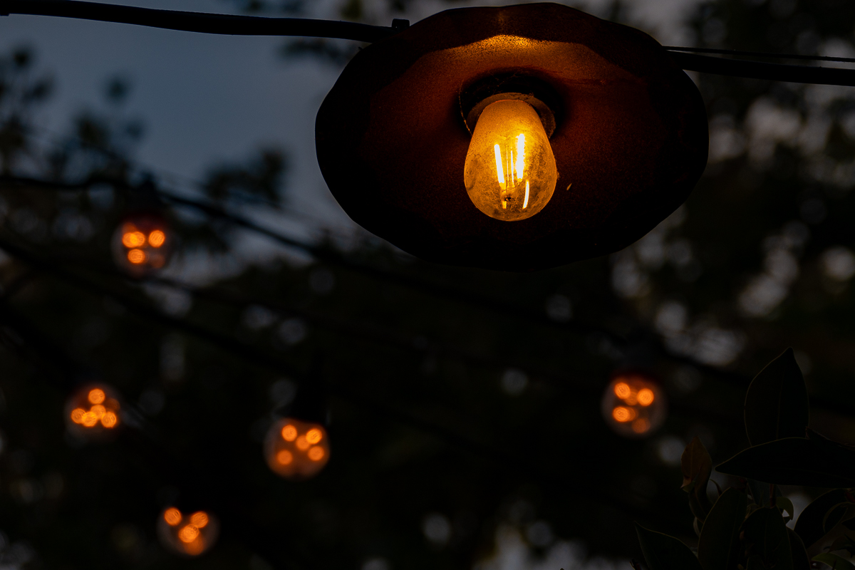 gin and tonic evening
