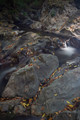 Devil's Gulch Creek in Summer