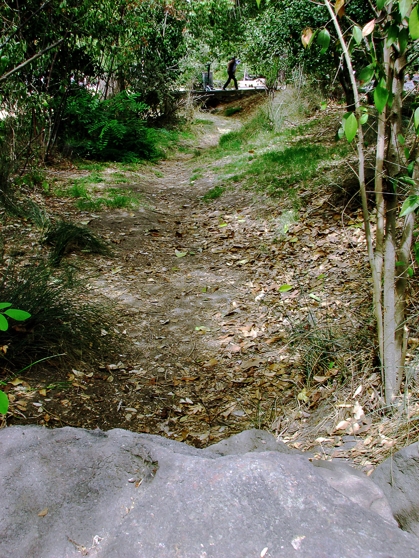 Temescal Creek (Summer Phase)