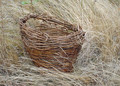 my first and last basket