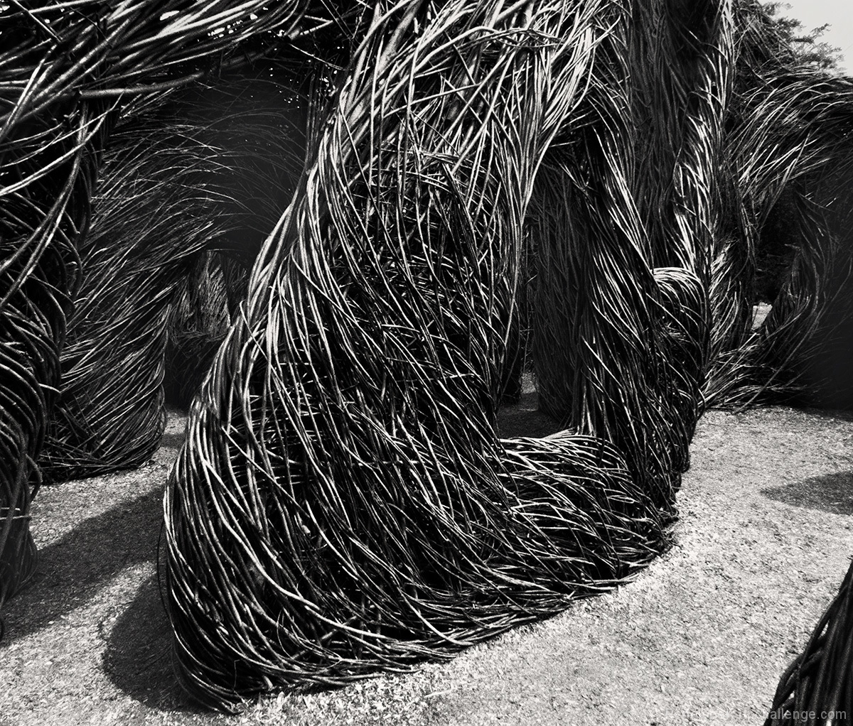 Stick Sculpture from Willow Withies